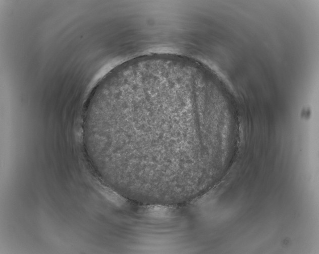 X0000091311266200709071107