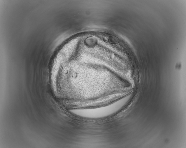 X0000091311267200709071107