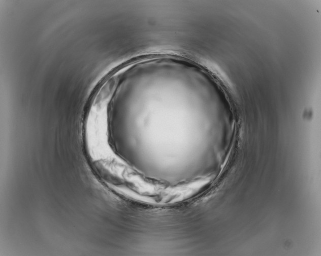 X0000091311268200709071107