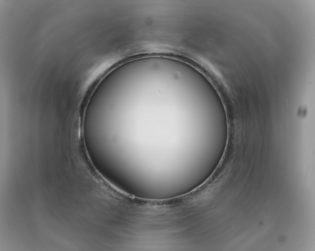 X0000091311269200709071107