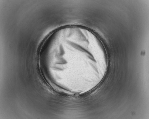 X0000091311270200709071106