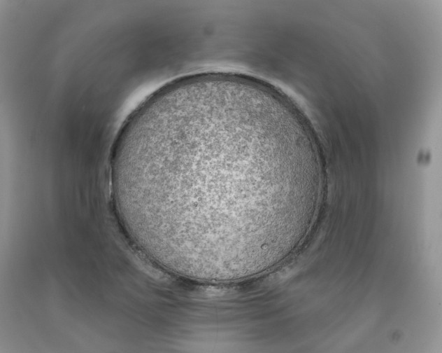 X0000091311271200709071106