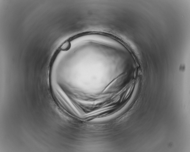 X0000091311272200709071106