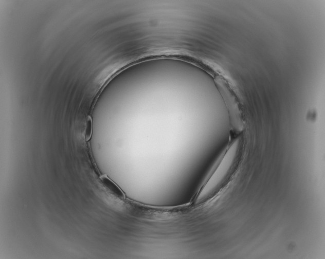 X0000091311273200709071106