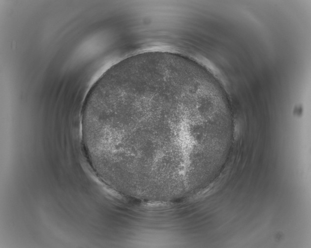 X0000091311274200709071106