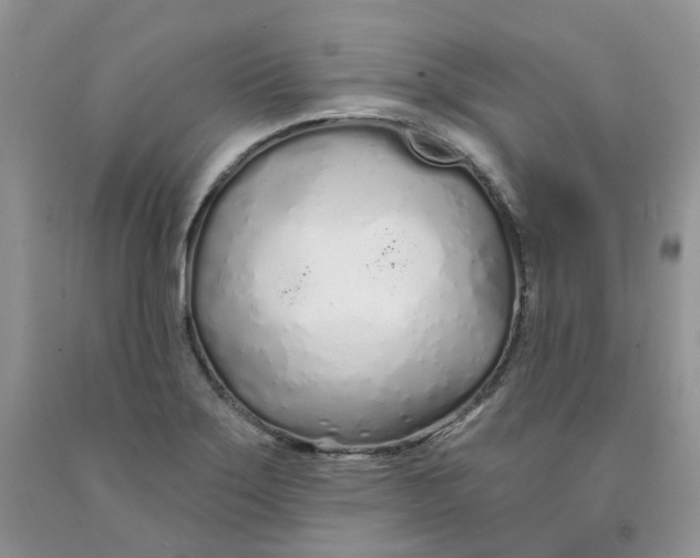 X0000091311275200709071106