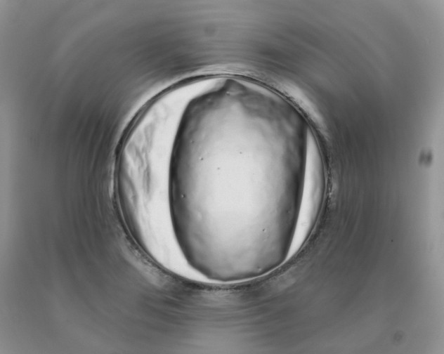 X0000091311276200709071106