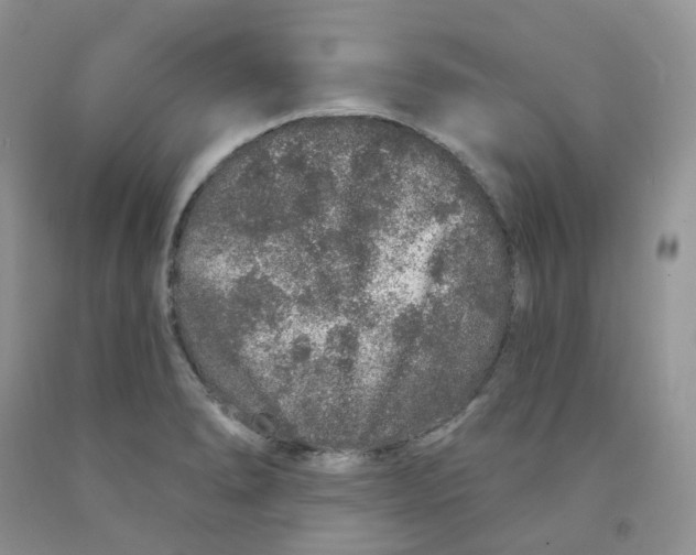 X0000091311278200709071106