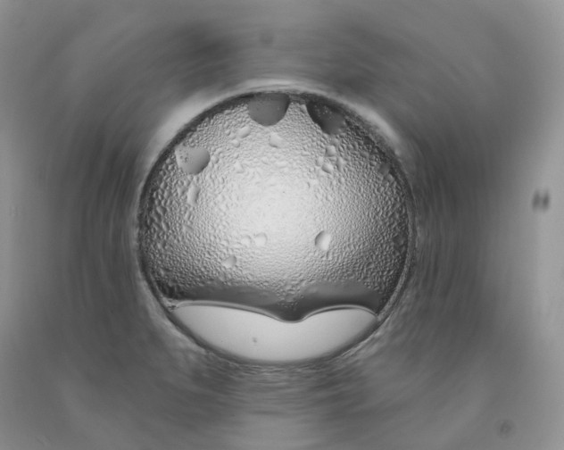 X0000091311279200709071106