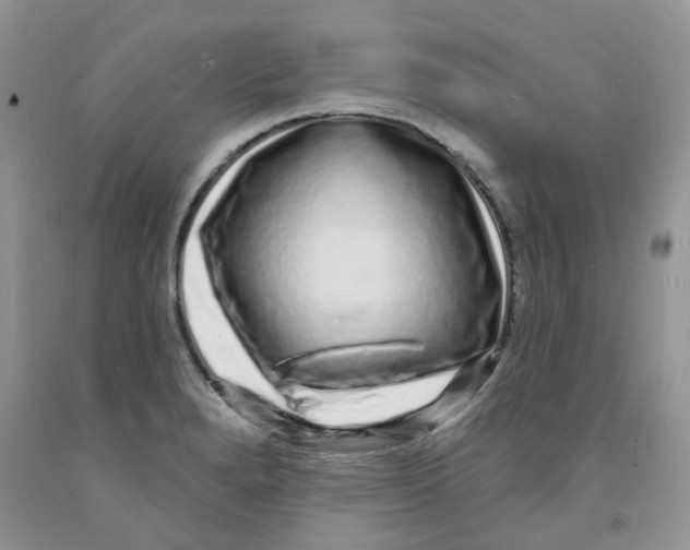 X0000091311280200709071106