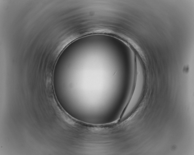 X0000091311281200709071106