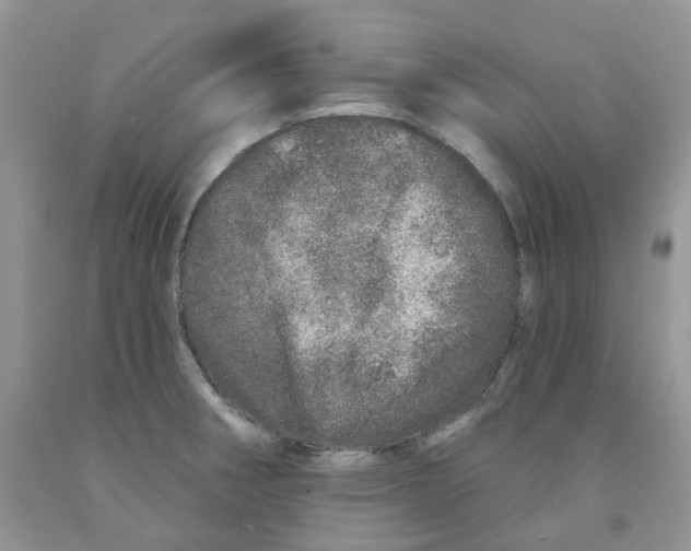 X0000091311282200709071106