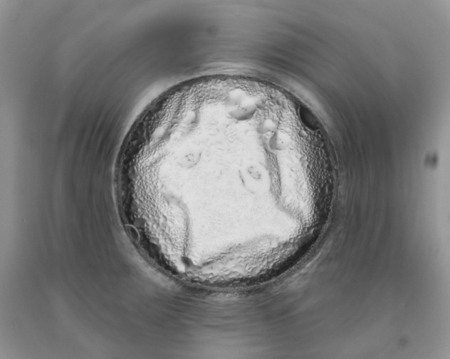 X0000091311283200709071106