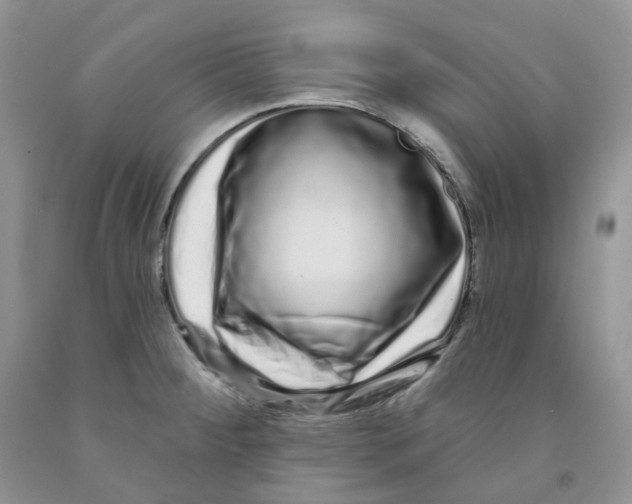 X0000091311284200709071106