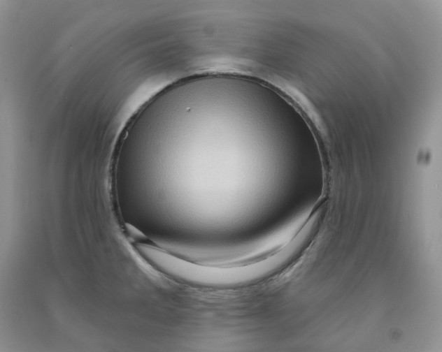 X0000091311285200709071106