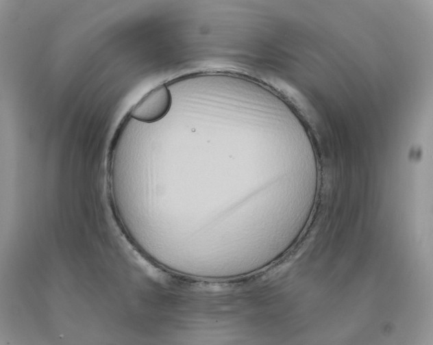 X0000091311286200709071106