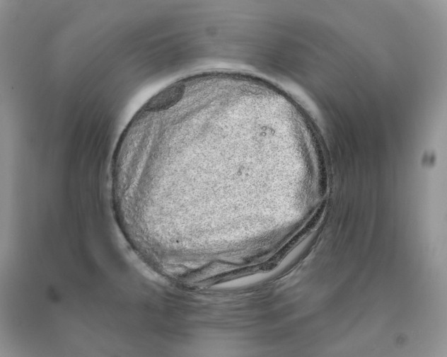 X0000091311287200709071106