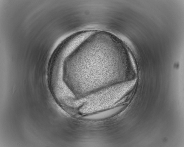 X0000091311288200709071106