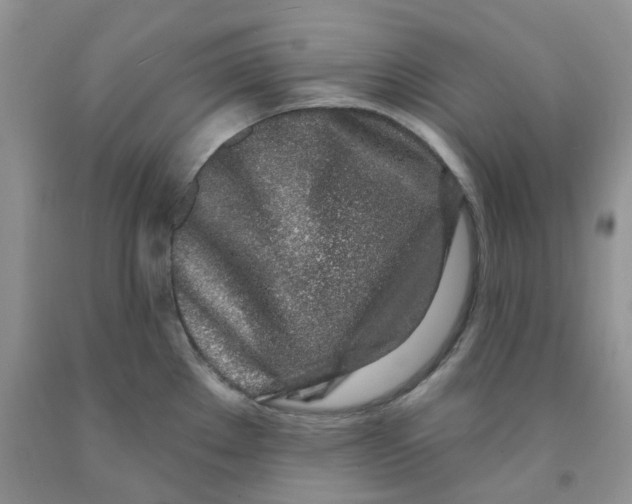 X0000091311289200709071106