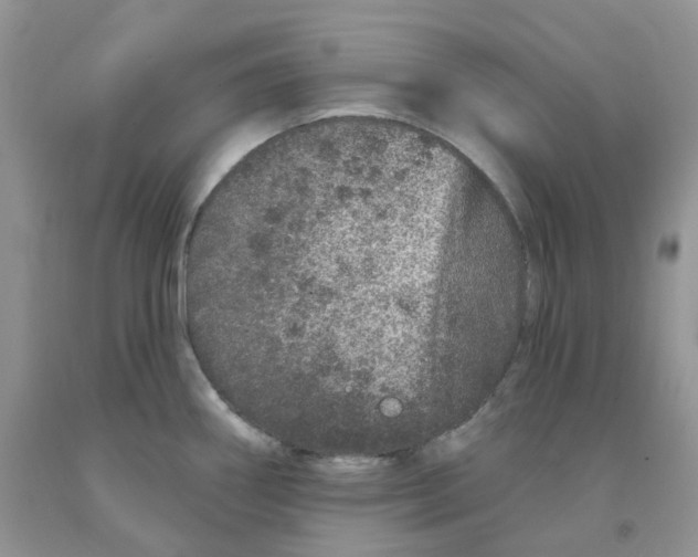 X0000091311290200709071106