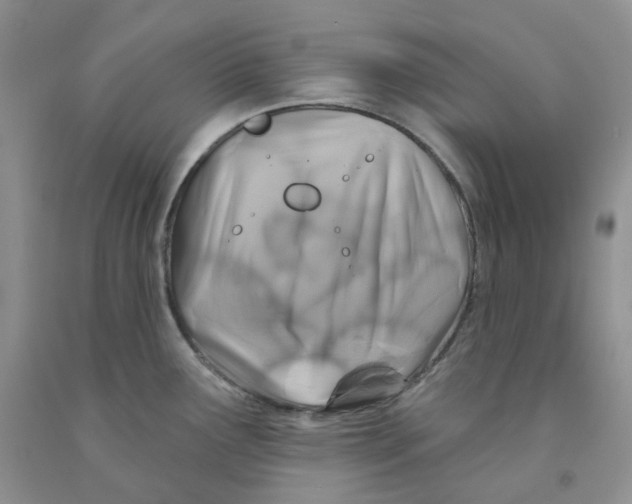 X0000091311291200709071106