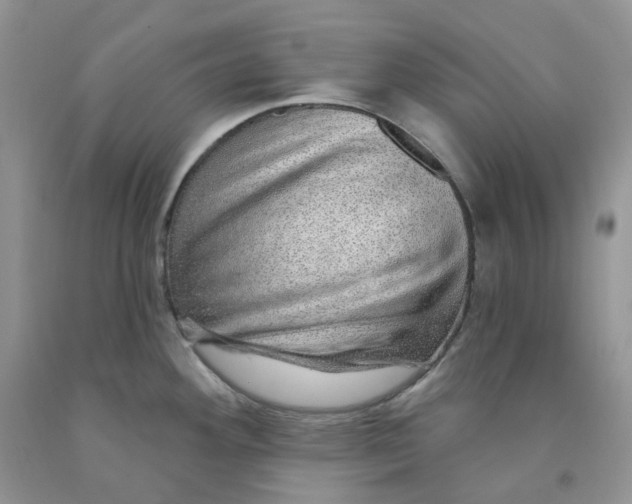 X0000091311292200709071106