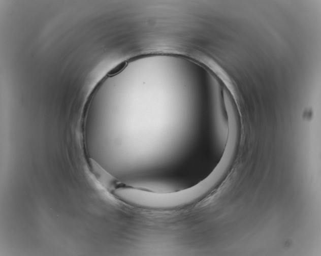 X0000091311293200709071106