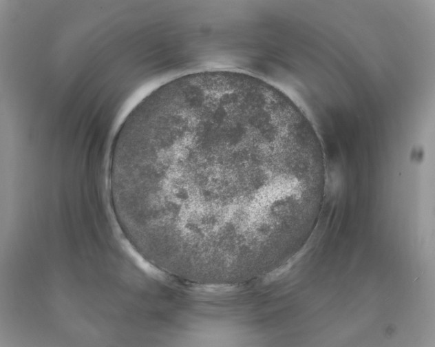 X0000091311294200709071106