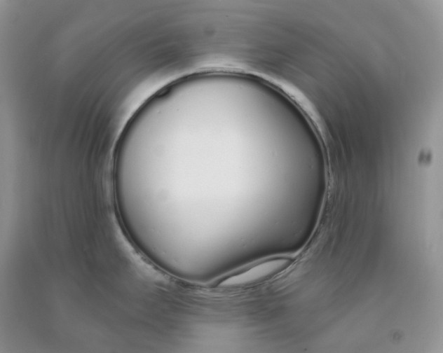 X0000091311295200709071106