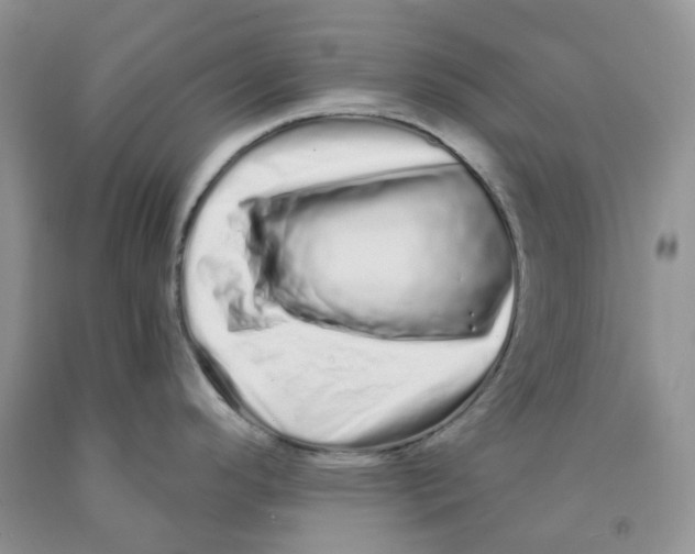 X0000091311296200709071106