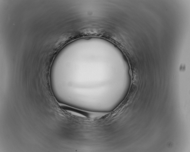 X0000091311297200709071105