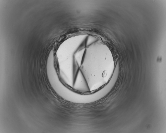 X0000091311298200709071105