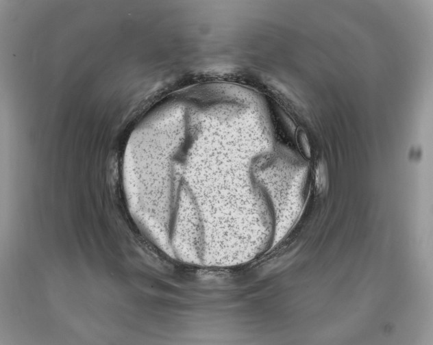 X0000091311299200709071105