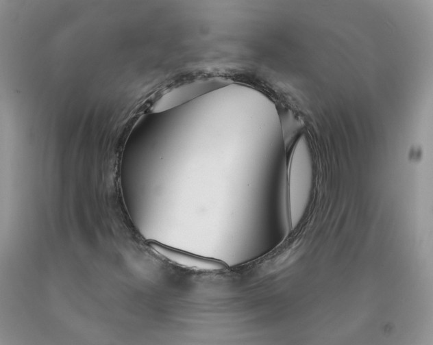 X0000091311300200709071105