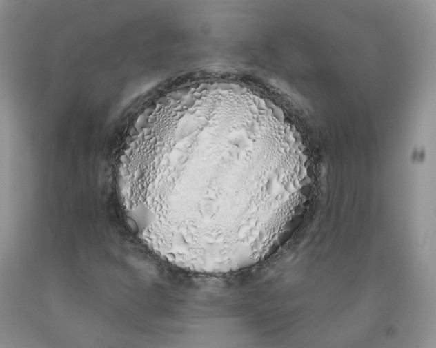 X0000091311302200709071105