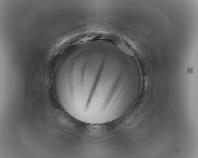 X0000091311303200709071105