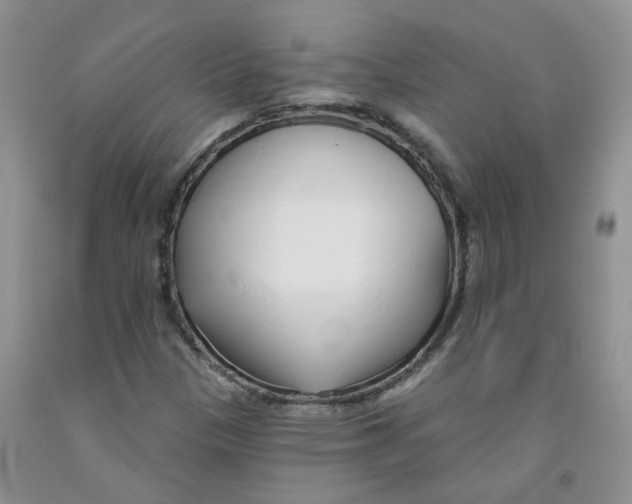 X0000091311305200709071106