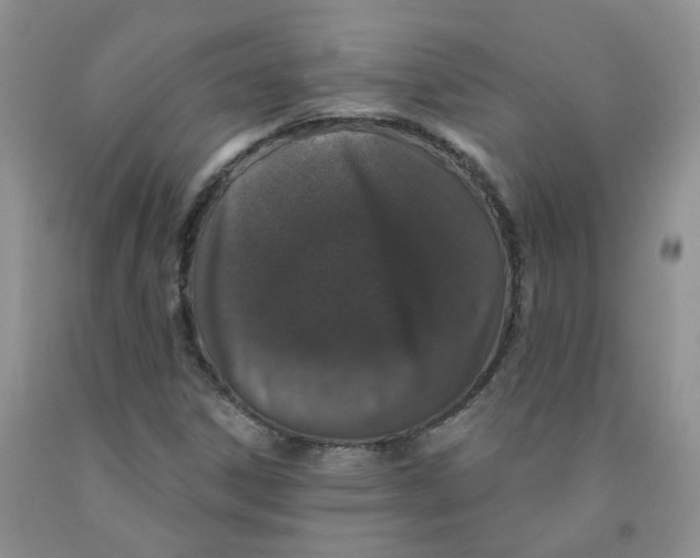 X0000091311306200709071106