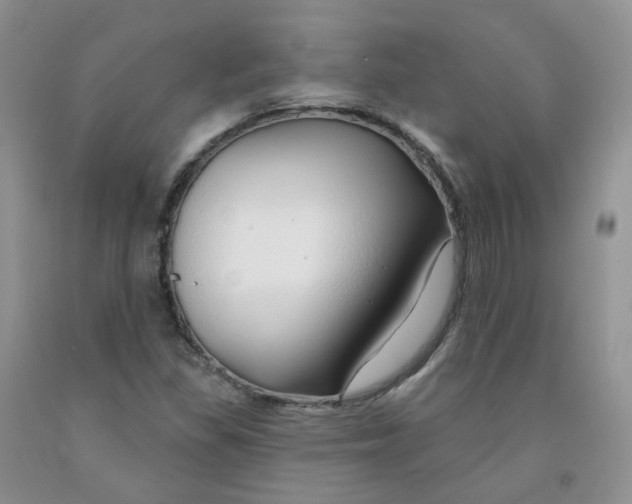 X0000091311309200709071106