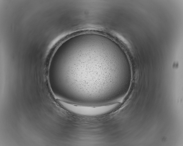 X0000091311310200709071106