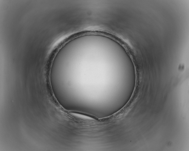 X0000091311311200709071106