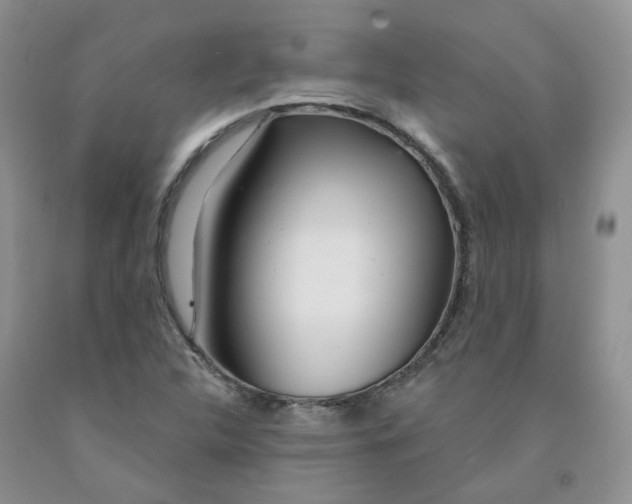 X0000091311312200709071106