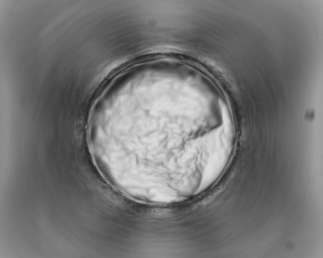 X0000091311313200709071106