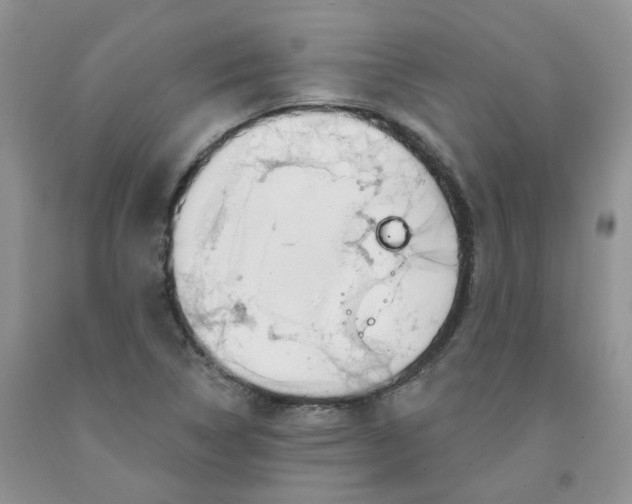 X0000091311314200709071106