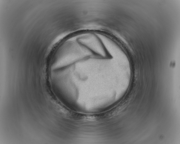 X0000091311315200709071106