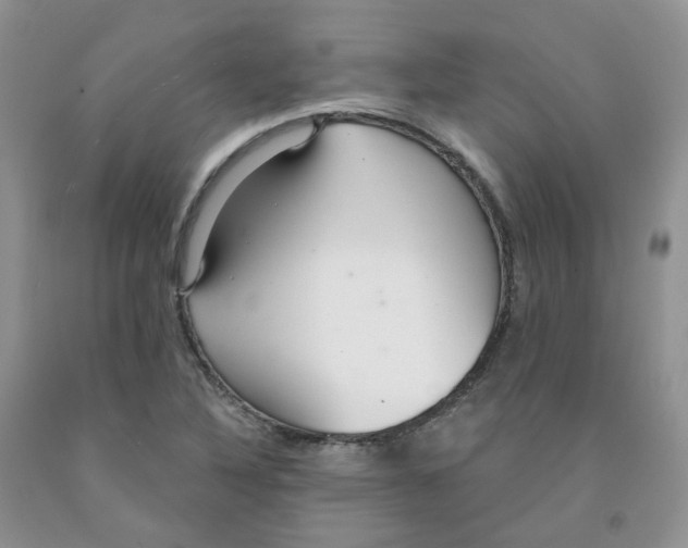 X0000091311316200709071106