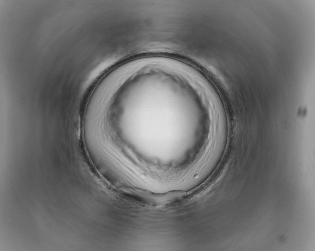 X0000091311317200709071106