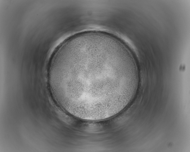 X0000091311318200709071106