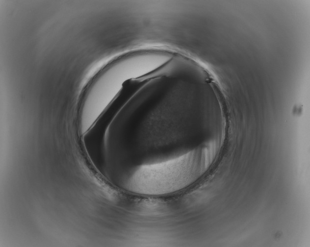 X0000091311319200709071106