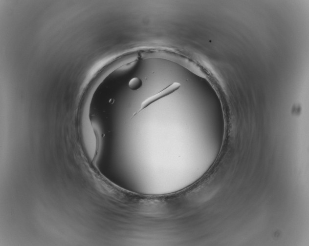 X0000091311320200709071106